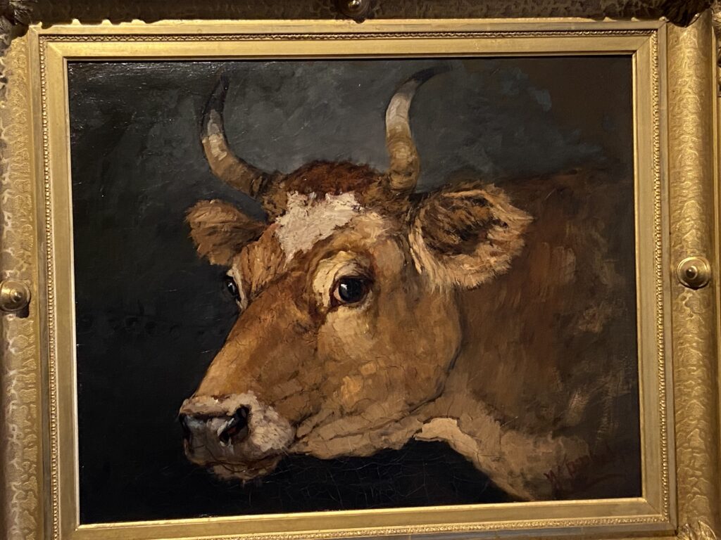 "Cow's Head" - William Preston Phelps